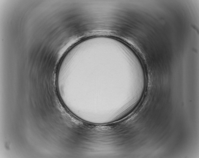 X0000099581325200806131309