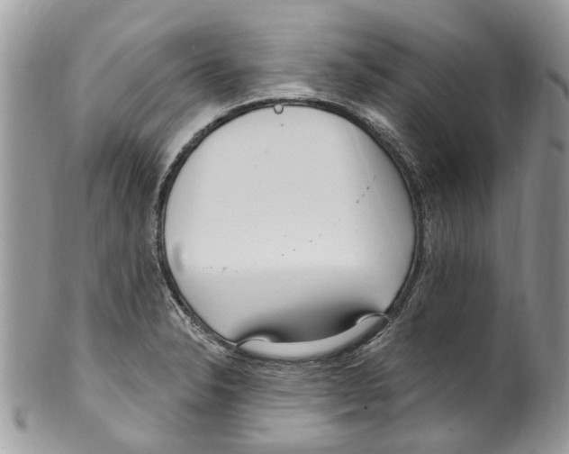 X0000099581326200806131309