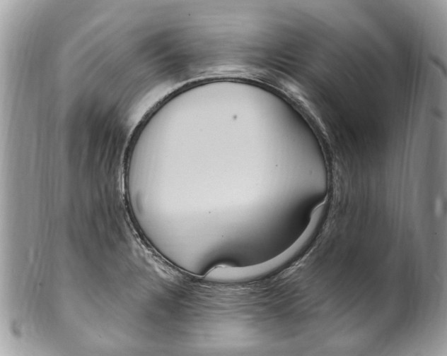 X0000099581328200806131309