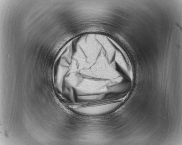 X0000099581329200806131309