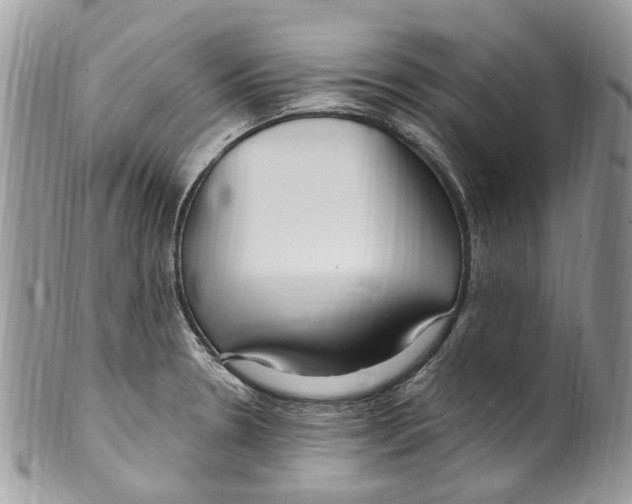 X0000099581330200806131309