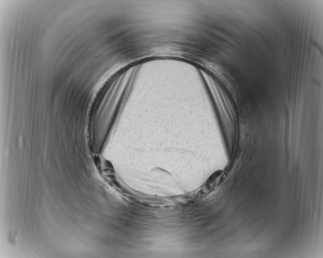 X0000099581331200806131309