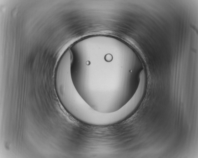 X0000099581332200806131309