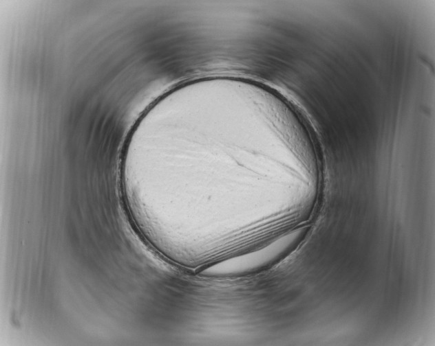 X0000099581333200806131309