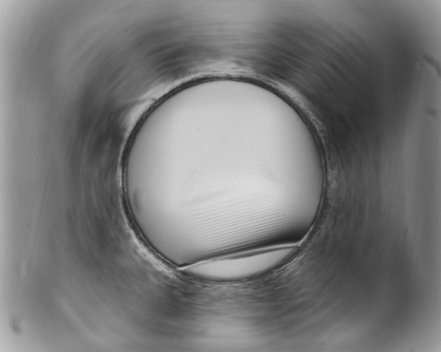 X0000099581335200806131309