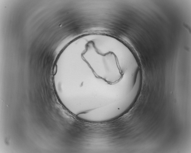 X0000099581336200806131309