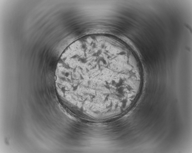 X0000099581337200806131309