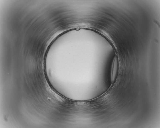 X0000099581339200806131309