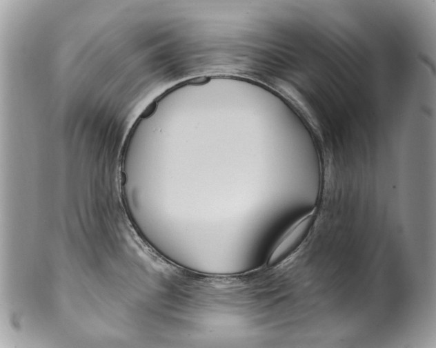 X0000099581340200806131309