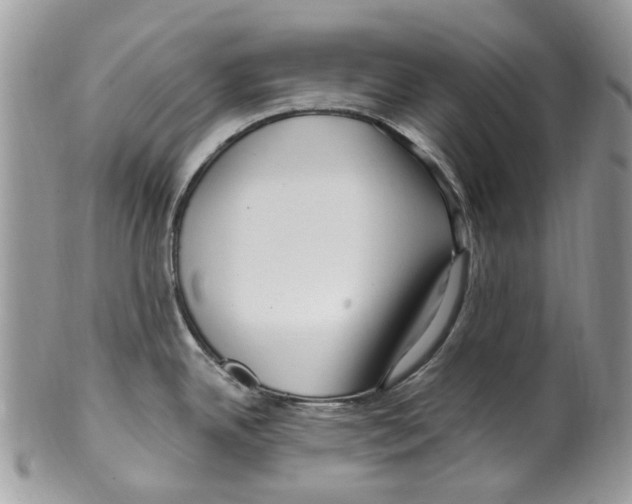 X0000099581342200806131310