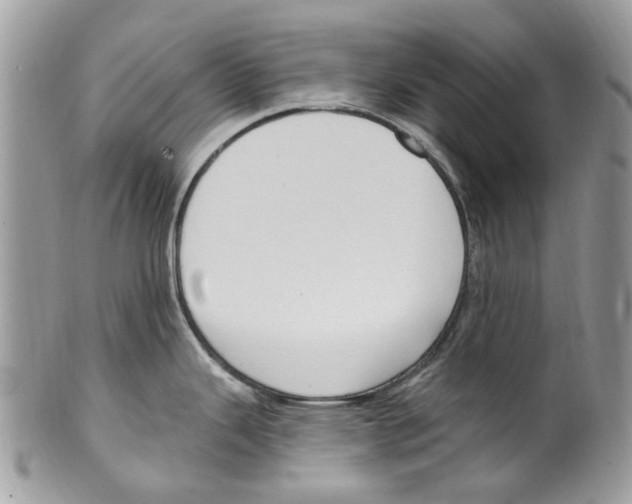 X0000099581343200806131310