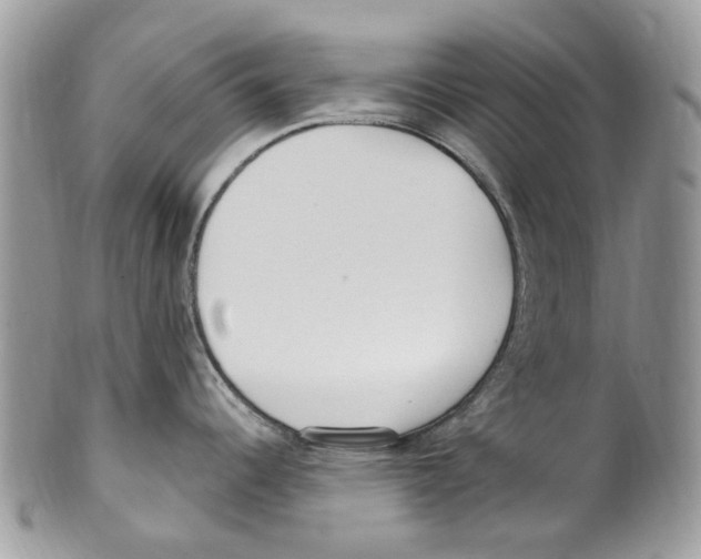 X0000099581344200806131310