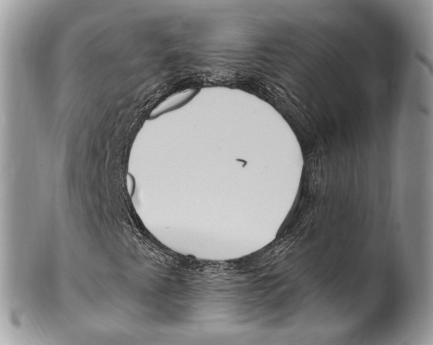 X0000099581345200806131309