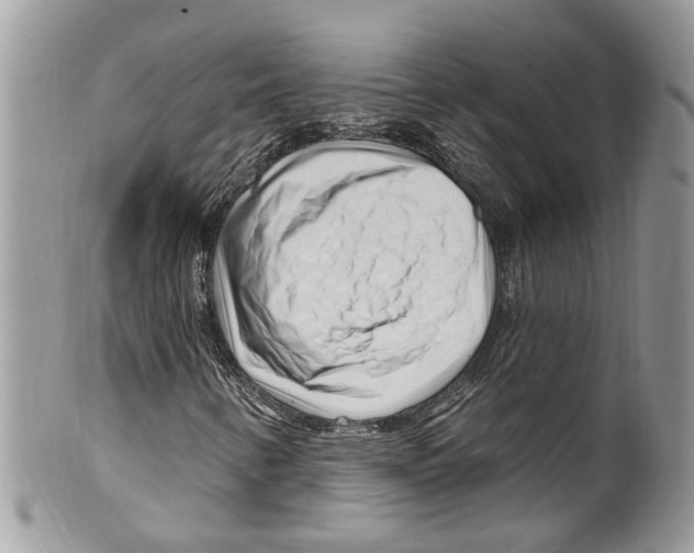 X0000099581346200806131309