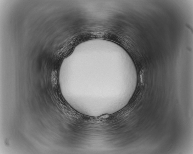 X0000099581347200806131309