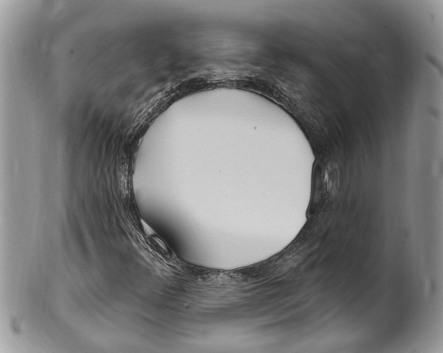 X0000099581348200806131309