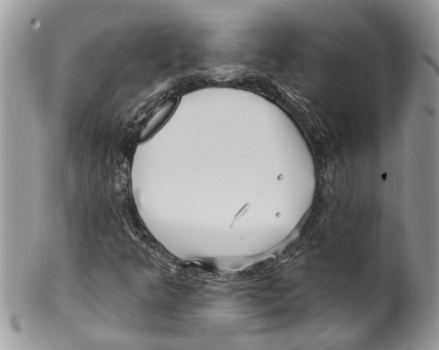 X0000099581349200806131309