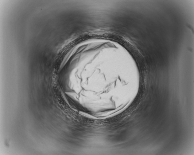 X0000099581350200806131309