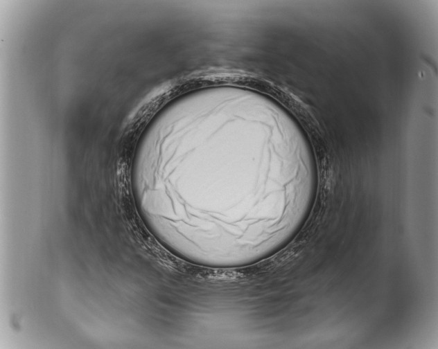 X0000099581351200806131309