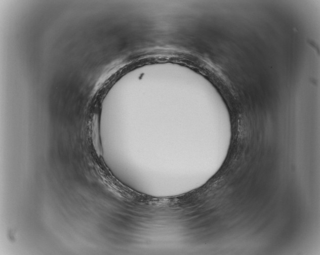 X0000099581352200806131309