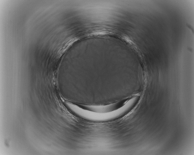 X0000099581353200806131309