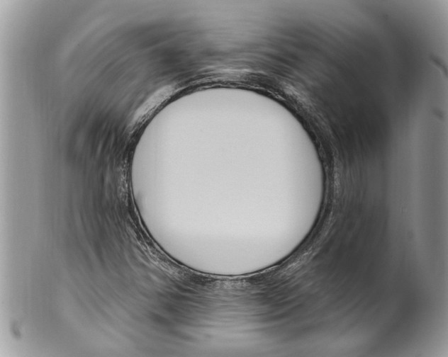 X0000099581354200806131309