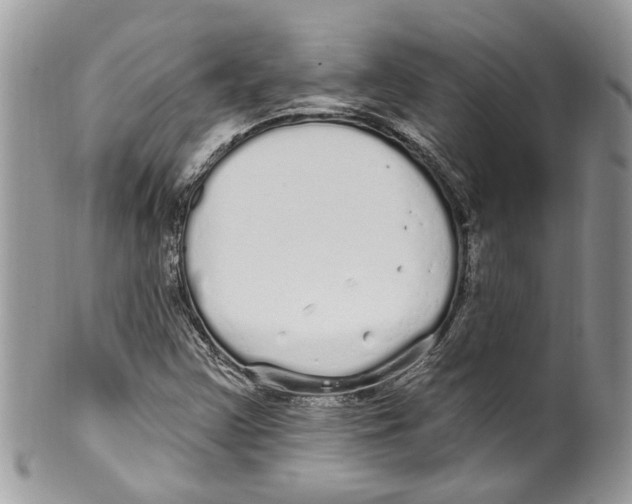 X0000099581355200806131309