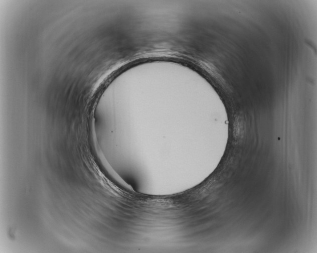 X0000099581356200806131309