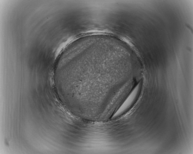 X0000099581357200806131309