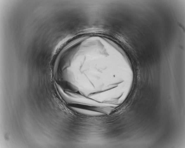 X0000099581358200806131309