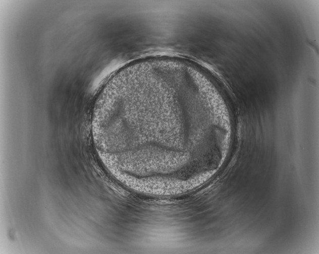 X0000099581359200806131309