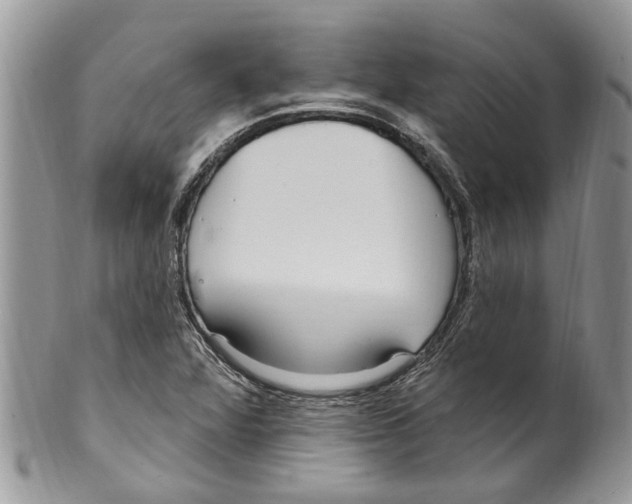 X0000099581360200806131309