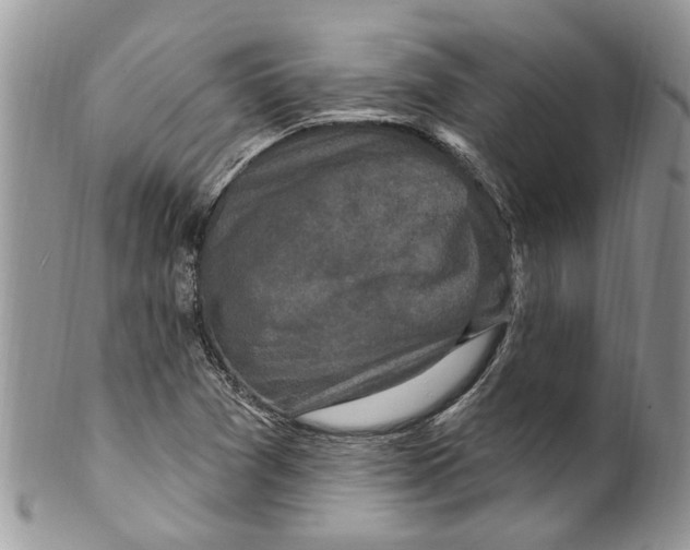 X0000099581361200806131309