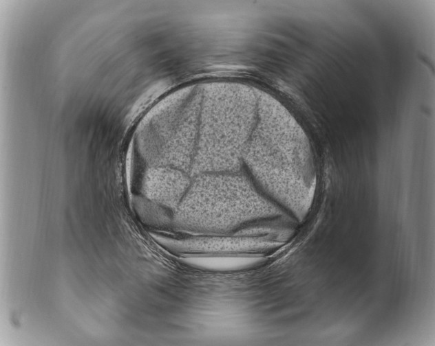 X0000099581362200806131309