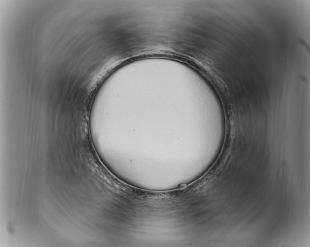 X0000099581363200806131309