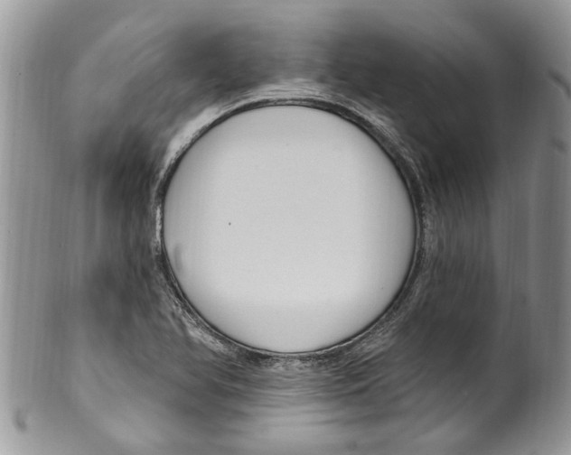 X0000099581366200806131309