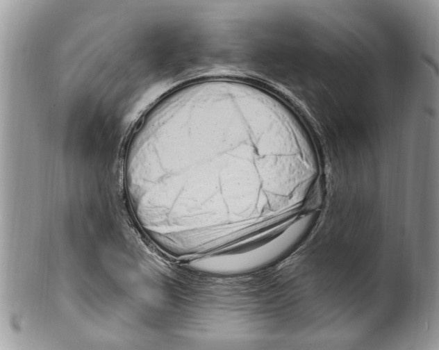 X0000099581367200806131309