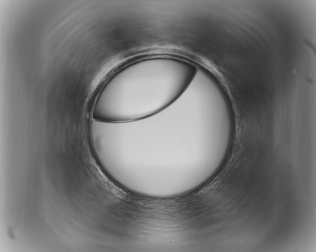 X0000099581368200806131309