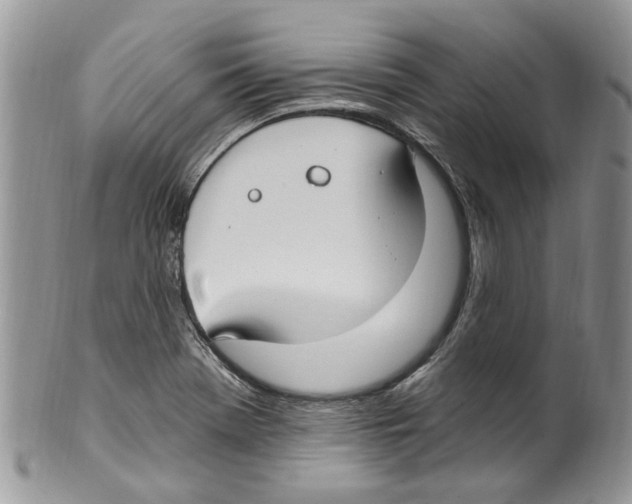 X0000099581369200806131309