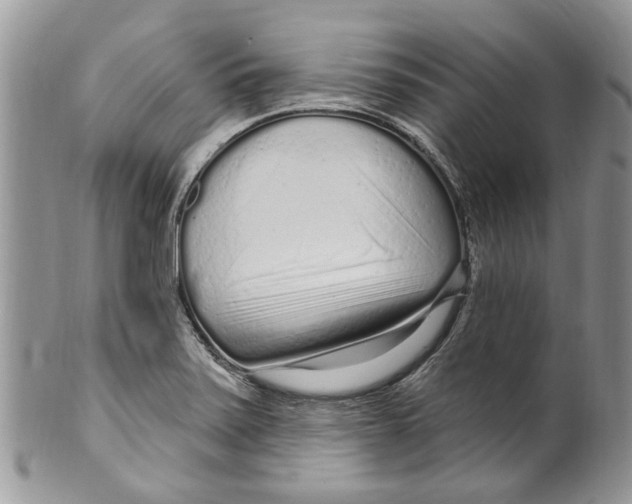 X0000099581371200806131309