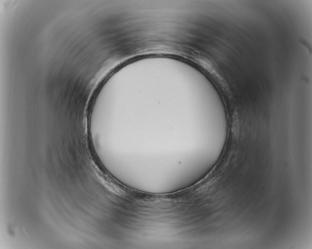 X0000099581372200806131309