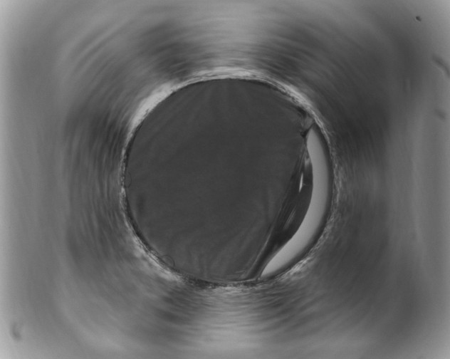 X0000099581373200806131308