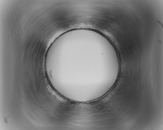 X0000099581374200806131308