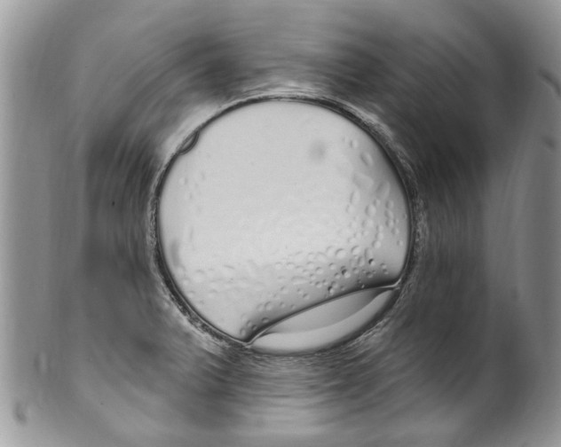 X0000099581375200806131308