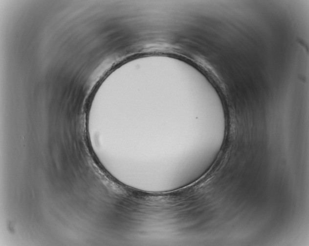 X0000099581376200806131308