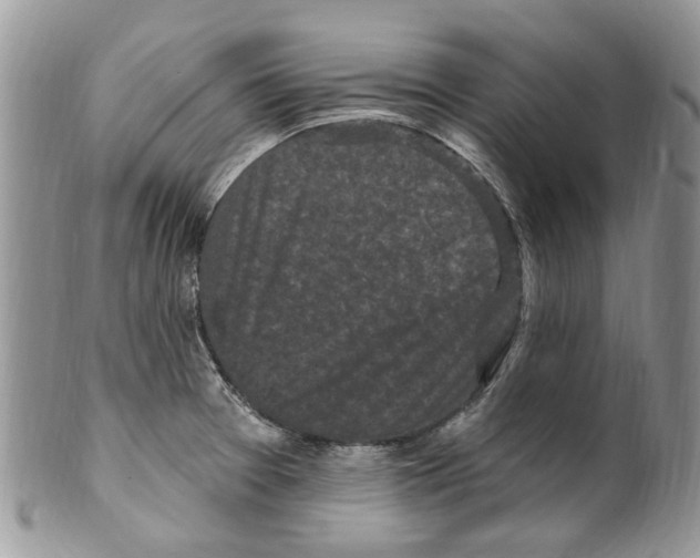 X0000099581377200806131308