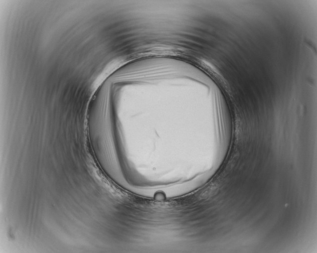 X0000099581378200806131308