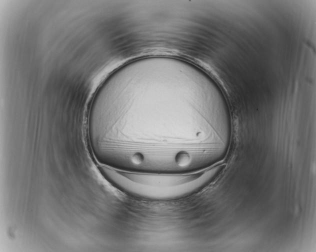 X0000099581379200806131308