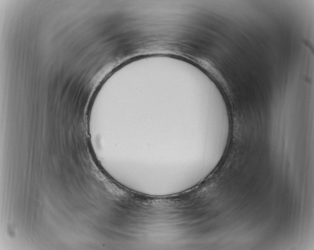 X0000099581380200806131308