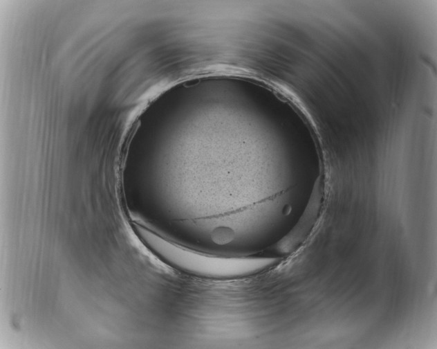 X0000099581381200806131308